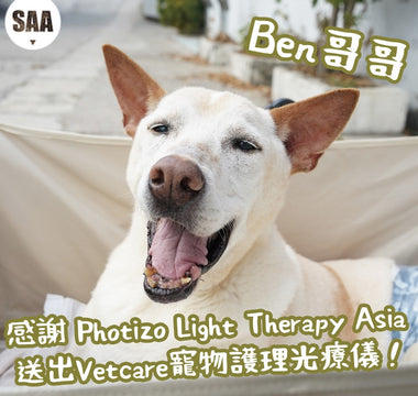 Vetcare SAA Ben 哥哥