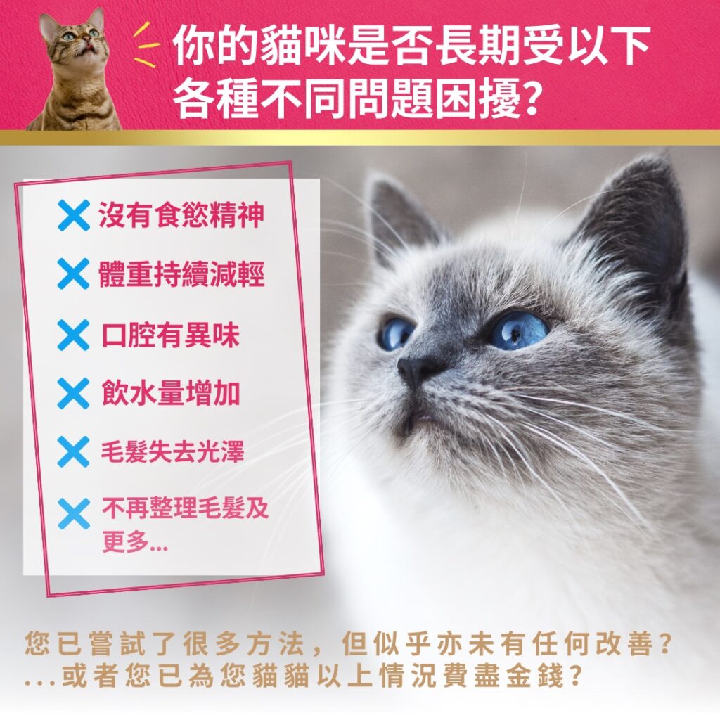 vetcare